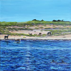North Carolina Beach, Beaufort NC, Shackleford, Dolphins, Horse Beach, Beach Pony, Outer Banks, Shackleford Banks, Giclée Art Prints