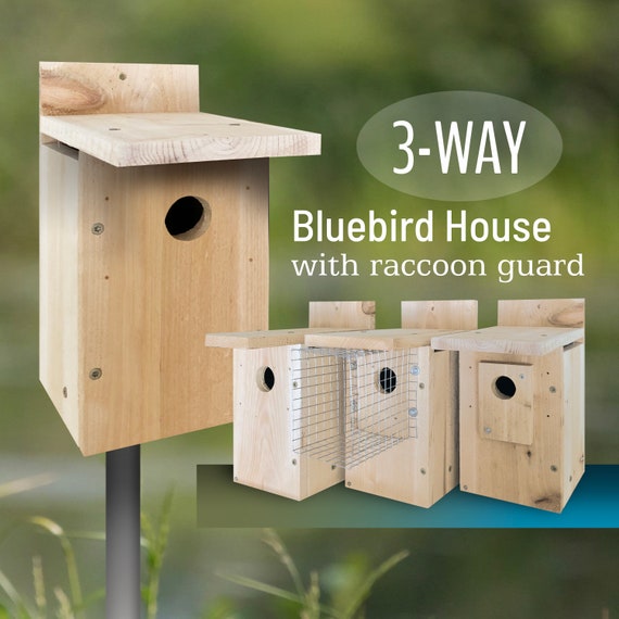Cedar Eastern Bluebird House Wren Black Capped Cedar Eastern Bluebird House Wren, Troyer S Sparrow Resistant Bluebird House Plans
