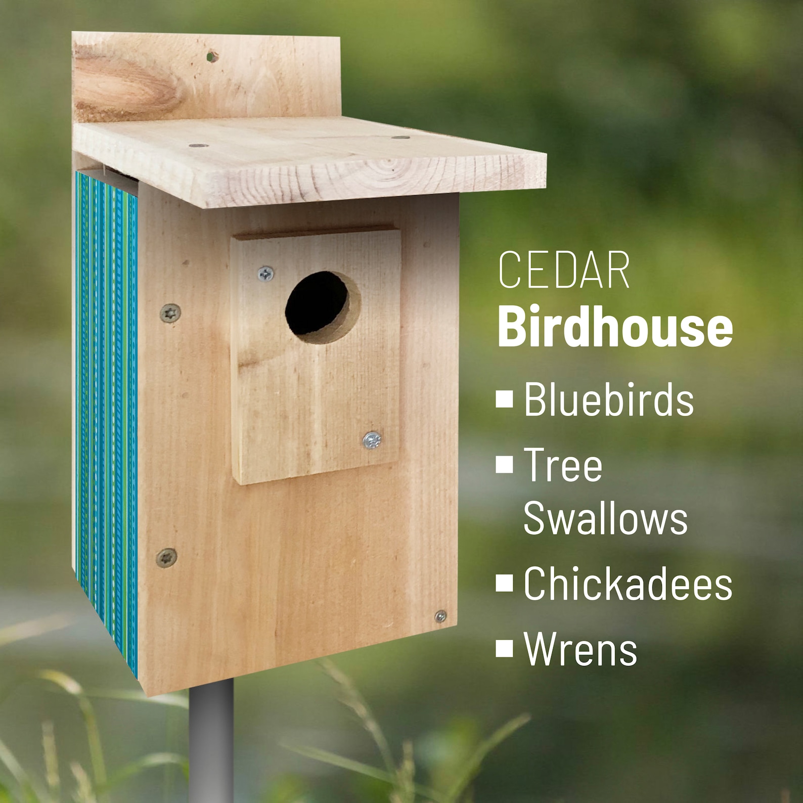 CEDAR Bluebird house Wren Chickadee Swallow Fun casa de | Etsy