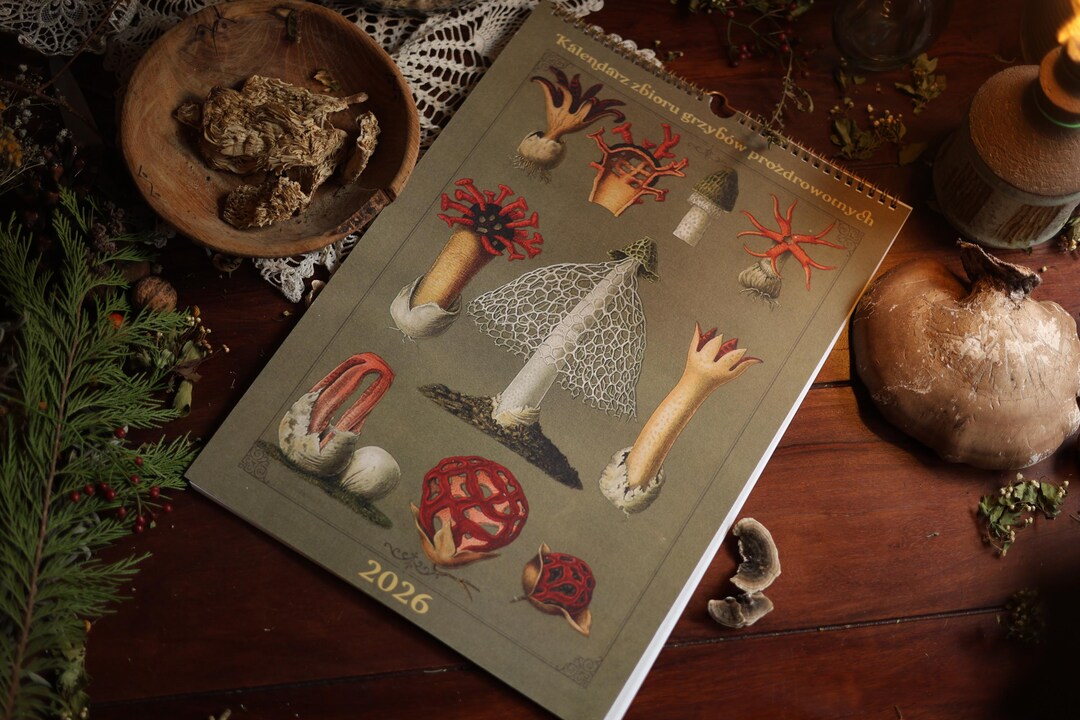 Medicinal Mushroom Collection Calendar 2026, A3 Format Etsy UK