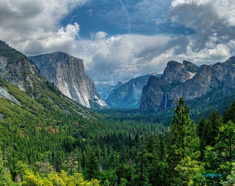 Yosemite Valley - Yosemite - Photo Print - Unframed - Gallery Quality - Giclee