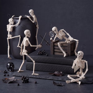 May include: Five off-white plastic skeleton figurines in various poses. One climbs a black vase, one holds a sword, one reclines on a wooden crate with a magnifying glass, one sits cross-legged, and one stands. A small black skull is also present.