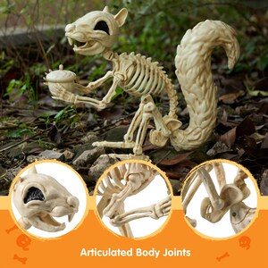 May include: A cream-colored plastic squirrel skeleton figure with a textured tail, holding a small acorn. The figure features articulated body joints, including the head, limbs, and tail, with dark, hollow eye sockets and visible rib cage details.
