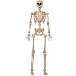 Skeleton Decorations