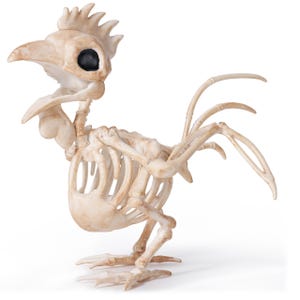 6.89'' Rooster Skeleton Decor Halloween Decorations for Garden Yart Cemetery Outdoor Indoor Table Decor