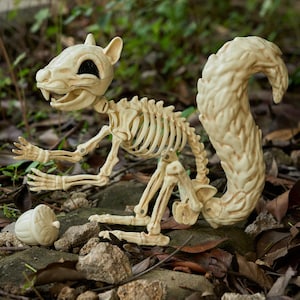 May include: A cream-colored squirrel skeleton figurine featuring a detailed rib cage, articulated limbs, and a large bushy tail. The skull has hollow black eye sockets and visible teeth. A small, matching cream-colored acorn sits nearby.