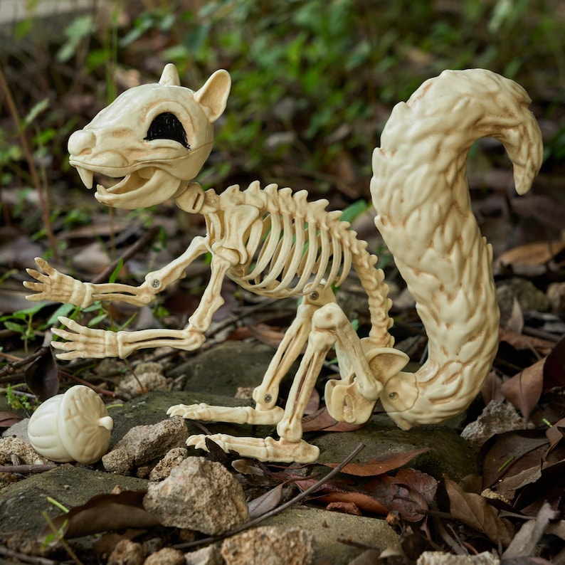 May include: A cream-colored squirrel skeleton figurine featuring a detailed rib cage, articulated limbs, and a large bushy tail. The skull has hollow black eye sockets and visible teeth. A small, matching cream-colored acorn sits nearby.