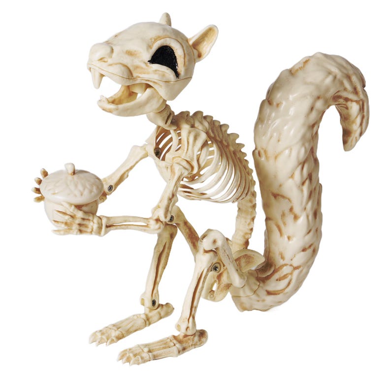 May include: A cream-colored plastic squirrel skeleton figurine featuring a detailed rib cage, articulated limbs, and a large bushy tail. The skeletal squirrel is depicted in a seated position, holding a small, matching cream-colored acorn in its hands.