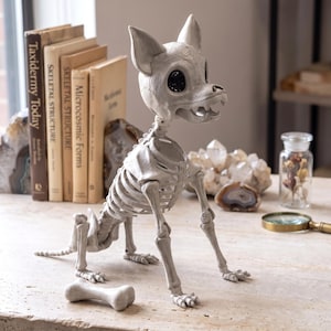 May include: A light gray, articulated dog skeleton figurine with large, glossy black eyes and an open-mouthed expression. The figure is posed in a seated position with a separate, matching light gray bone-shaped object placed in front of it.