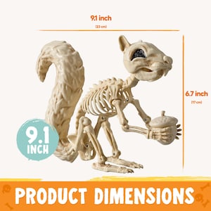 May include: A cream-colored squirrel skeleton figurine holding an acorn. The figure features dark eye sockets and articulated joints. Text on the image indicates dimensions of 9.1 inches in width and 6.7 inches in height, with a 9.1 inch label.