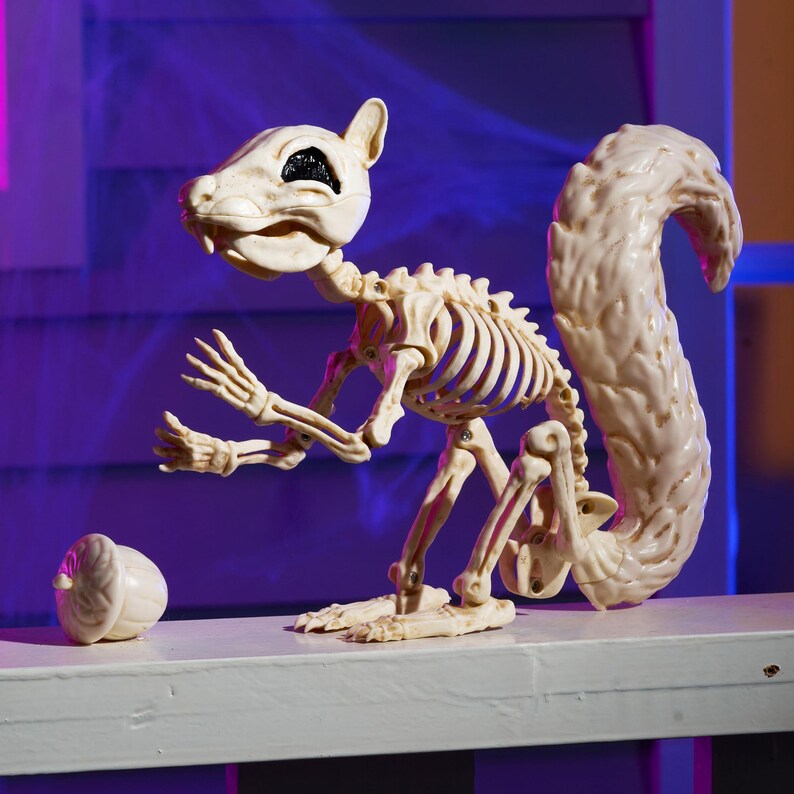 May include: A cream-colored plastic squirrel skeleton figurine featuring a detailed rib cage, articulated limbs, and a large bushy tail. The squirrel is posed in a seated position with a separate matching cream-colored acorn placed nearby.