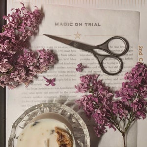 Puede incluir: Primer plano de una vela blanca con flores secas y un trozo de panal de abeja marr&oacute;n dentro de un tarro de vidrio transparente. La vela est&aacute; rodeada de flores de lila p&uacute;rpura y un par de tijeras plateadas. El texto "MAGIC ON TRIAL" es visible en el fondo.