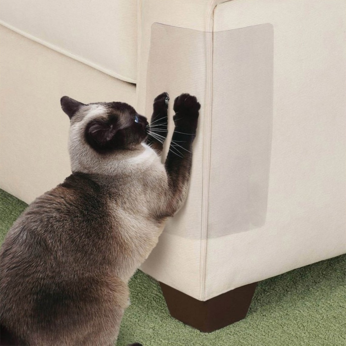 How To Protect Furniture From Cats Claws at Catherine Spurrier blog