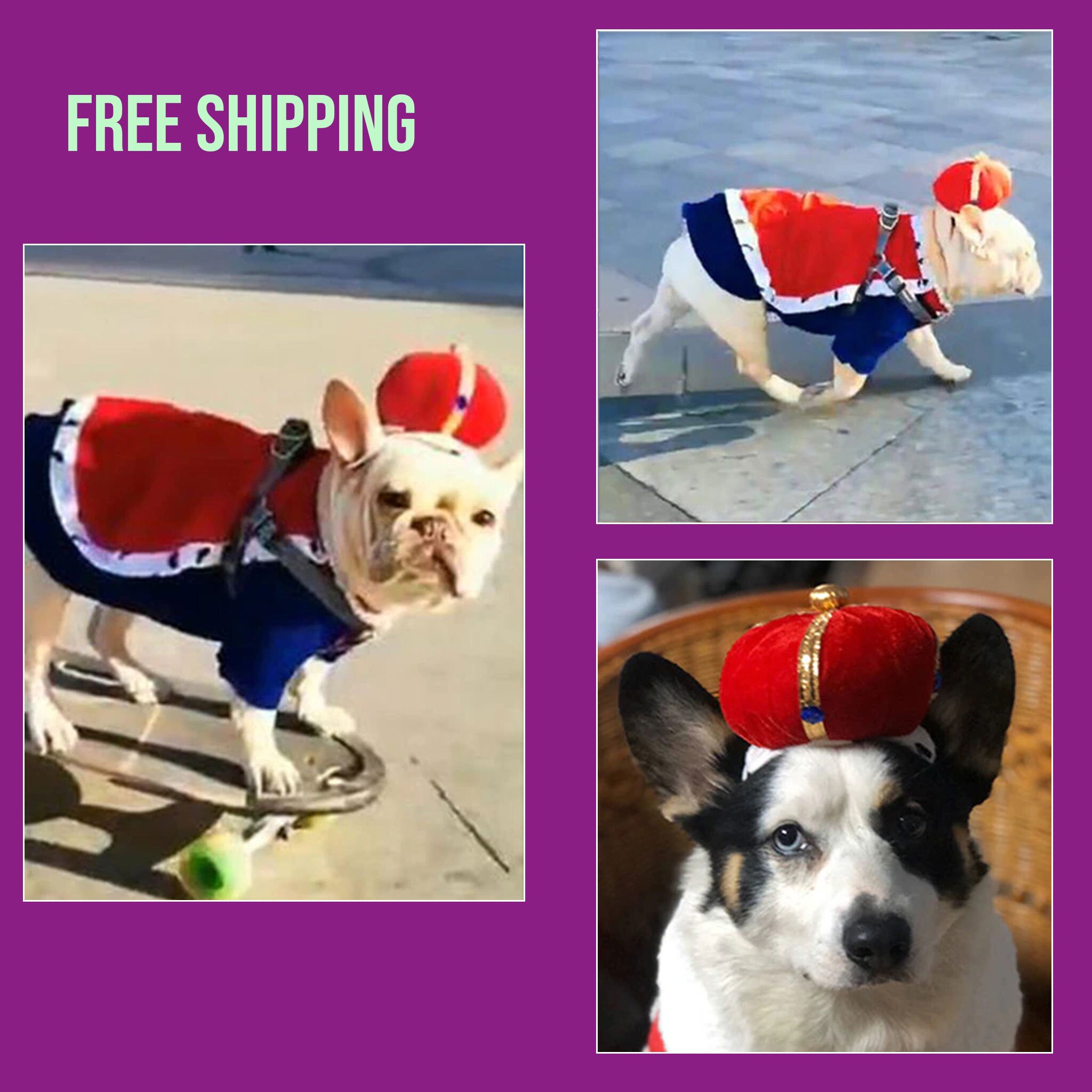 Kings Cape Outfit for Dogs King Costume for Dogs Majestic Etsy