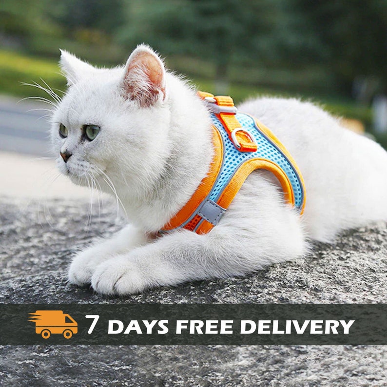 extra long cat leash