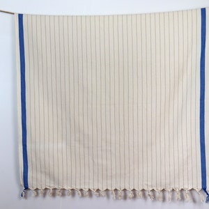 May include: A white throw blanket with thin brown stripes and blue borders. The blanket has a fringe on the bottom edge.