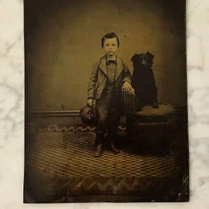 May include: A sepia-toned portrait of a young child in a suit, holding a hat, with a dog seated beside him. The child is standing on a patterned rug, and the dog is sitting on a small, round seat.