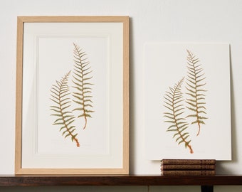 Giclee print of a pair of Tree Ferns