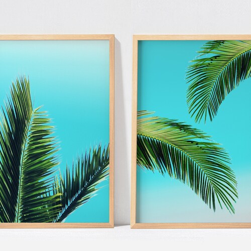 Tropical Wall Art Print Set of 4 Palm Banana Monstera Leaf Etsy