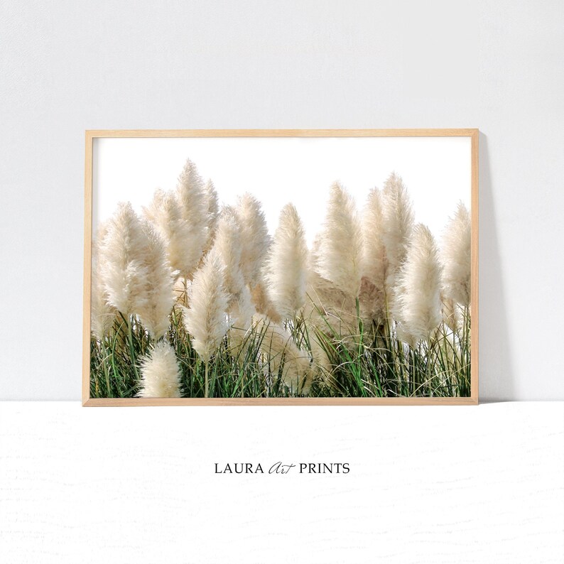 Pampas Grass Wall Art Pampas Grass Print Botanical Print Etsy