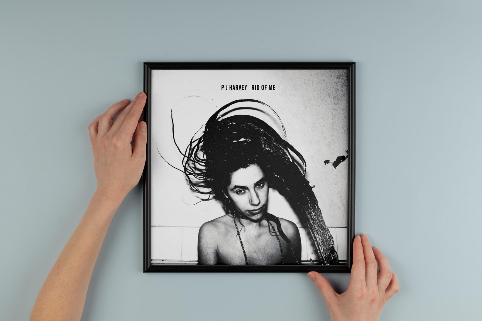 pj harvey rid of me album