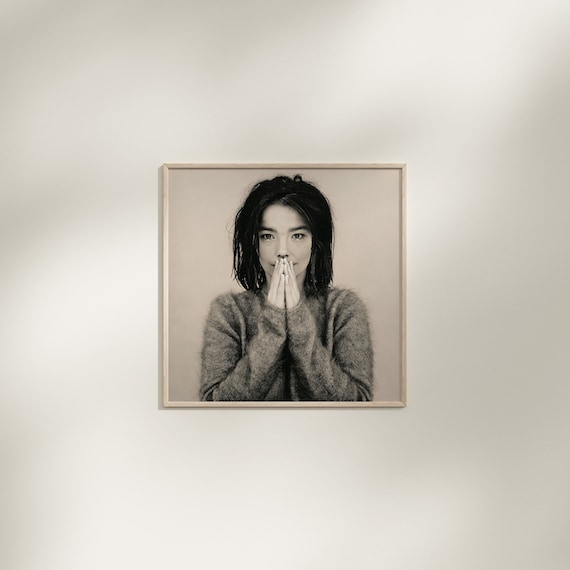 Björk ビョーク ポートレートポスター bjork-post-plus-fold-out-