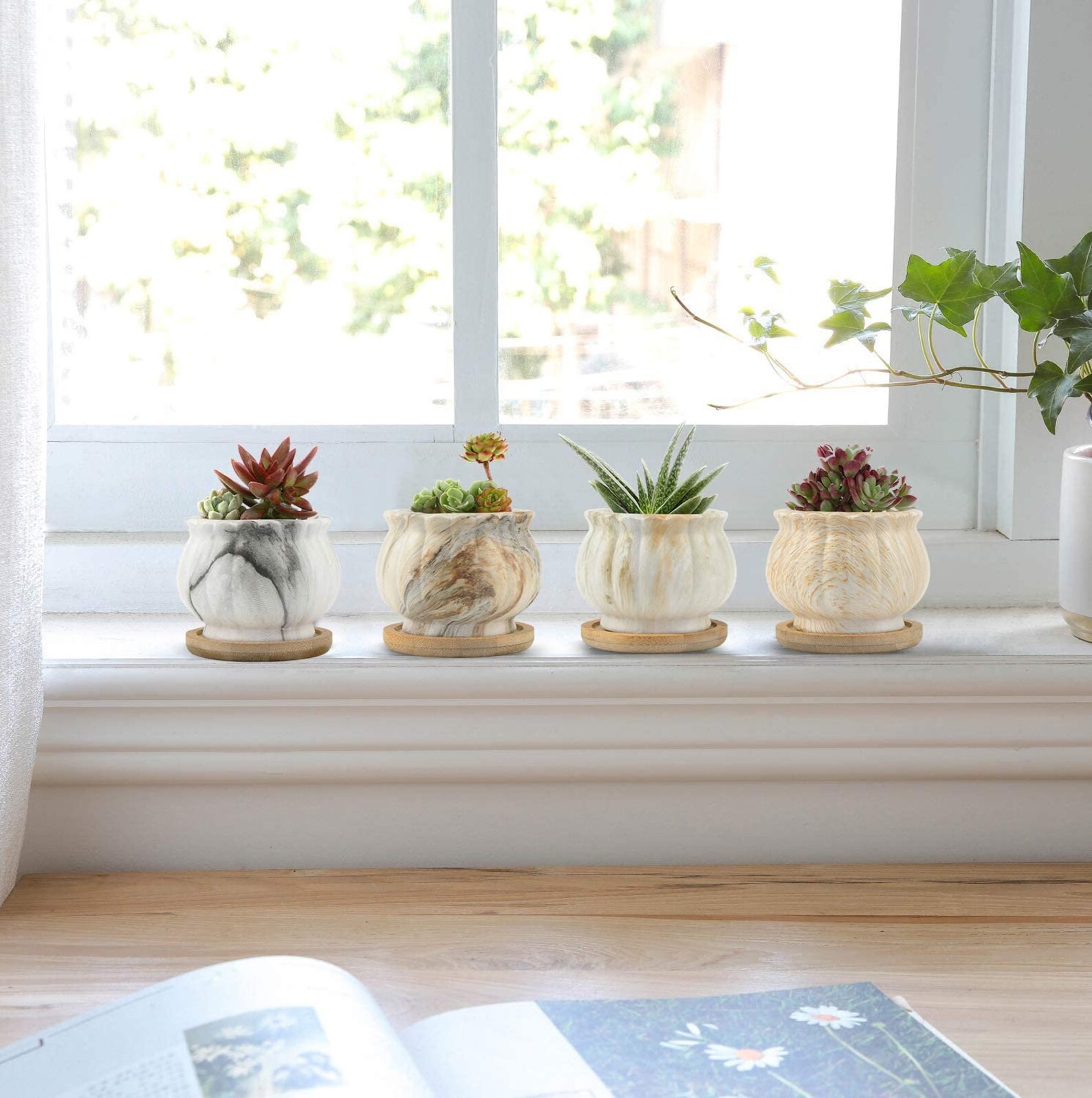 Set of 4 Marble Ceramic Succulent Plant Pots with Bamboo Tray Etsy