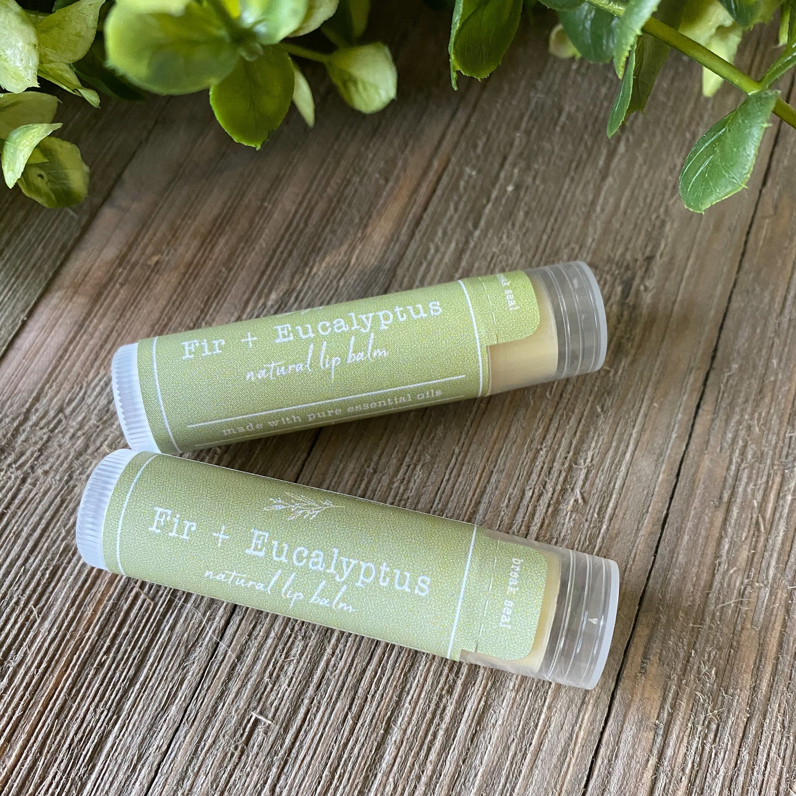 Fir Eucalyptus Lip Balm Moisturizing lip balm made from Etsy