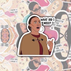 Real Housewives of Potomac, RHOP, Ashley Darby Sticker, What Did I Miss?, Bravo Gift, Real Housewives Gifts