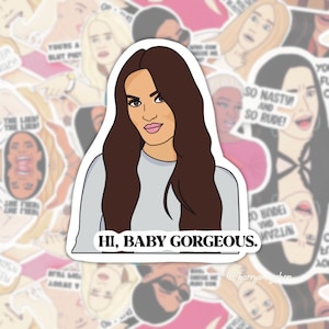 Real Housewives of Atlanta, RHOSLC, Lisa Barlow Sticker, hi baby gorgeous Bravo Gift, Real Housewives Gifts