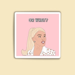 Real Housewives of Beverly Hills, RHOBH, Ericka Jayne Magnet, Or What, Bravo Gift, Real Housewives Gifts