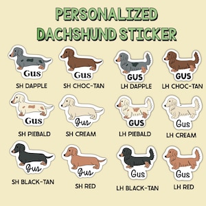 May include: A sheet of personalized dachshund stickers. The stickers feature various dachshund breeds in different colors and patterns, with the name "Gus" printed on each. The text "PERSONALIZED DACHSHUND STICKER" is at the top.
