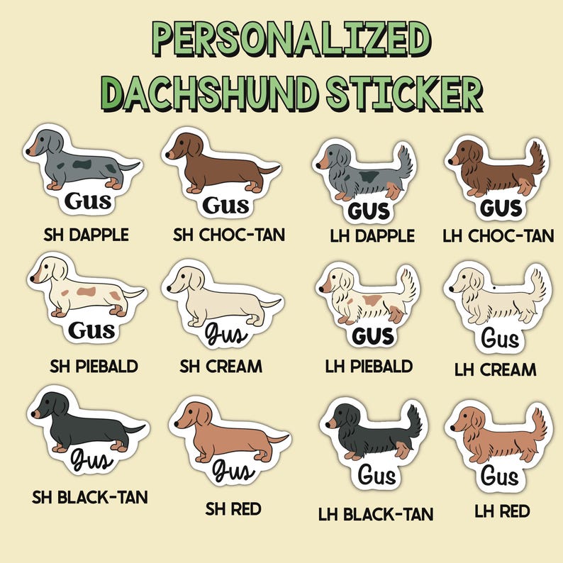 Puede incluir: Una hoja de pegatinas personalizadas de perro salchicha. Las pegatinas presentan varias razas de perro salchicha en diferentes colores y patrones, con el nombre "Gus" impreso en cada una. El texto "PERSONALIZED DACHSHUND STICKER" est&aacute; en la parte superior.