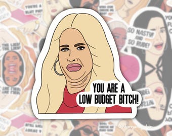 Real Housewives of Atlanta, RHOA, Kim Zolciak Sticker, Waterproof sticker, laptop sticker Bravo Gift, Real Housewives Gifts