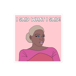 Real Housewives Of Atlanta RHOA Nene Leakes I Said What I Said Magnet, Real Housewives Gift, Reality Tv, Bravo!,  Bravo Gift