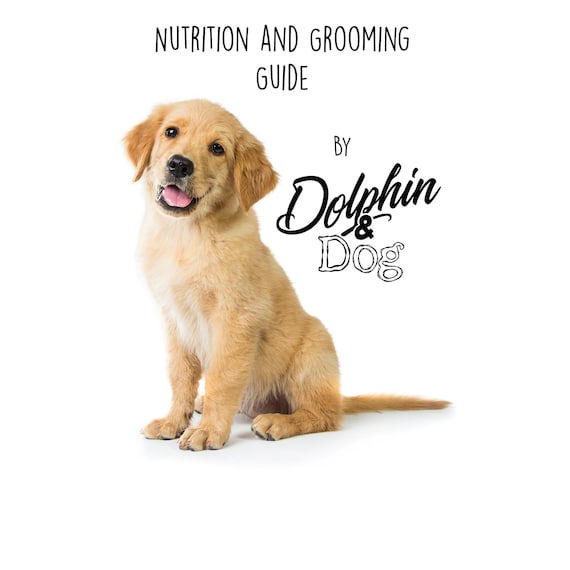 Dog cheap grooming guide