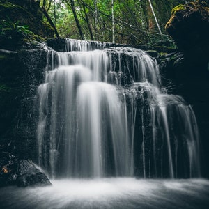 Puede incluir: Una cascada cae sobre rocas cubiertas de musgo en un exuberante bosque verde. El agua está borrosa debido a la larga exposición, creando un efecto suave y sedoso.