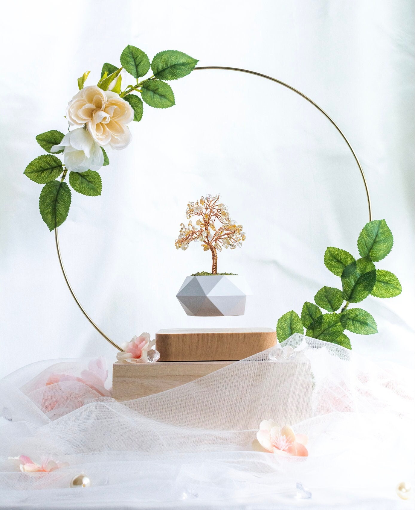 Levitating Bonsai - Etsy
