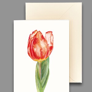 Grußkarte Tulpe