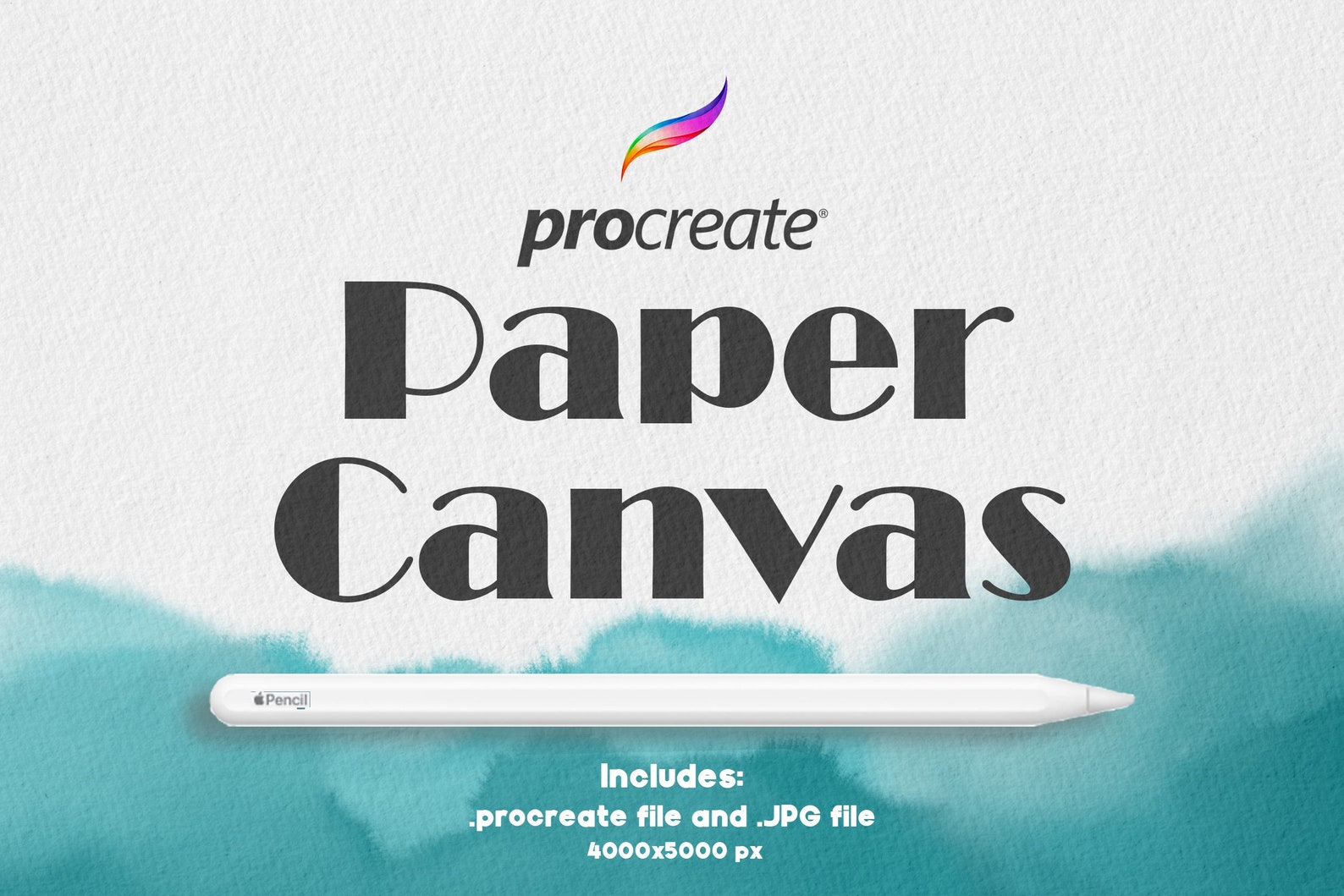 procreate project canvas pc