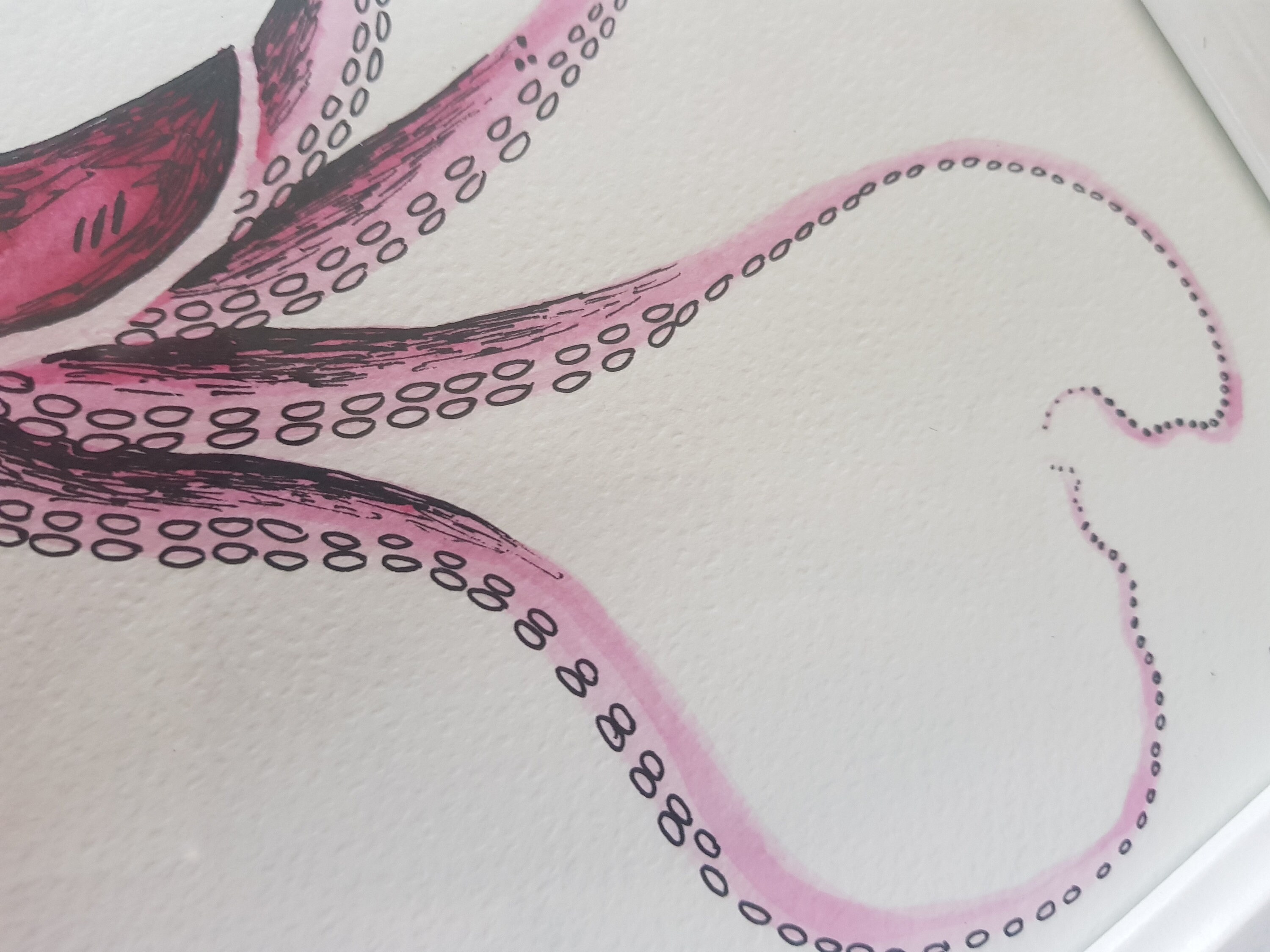 Watercolour and Ink Octopus Painting Framed Pen and Paint Etsy UK