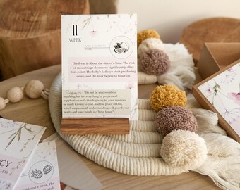 Pregnancy Prayer Cards - christian Pregnancy Gift expecting mom, Pregnancy Announcement gift Bible Cards, Christian Pregnancy Milestone card