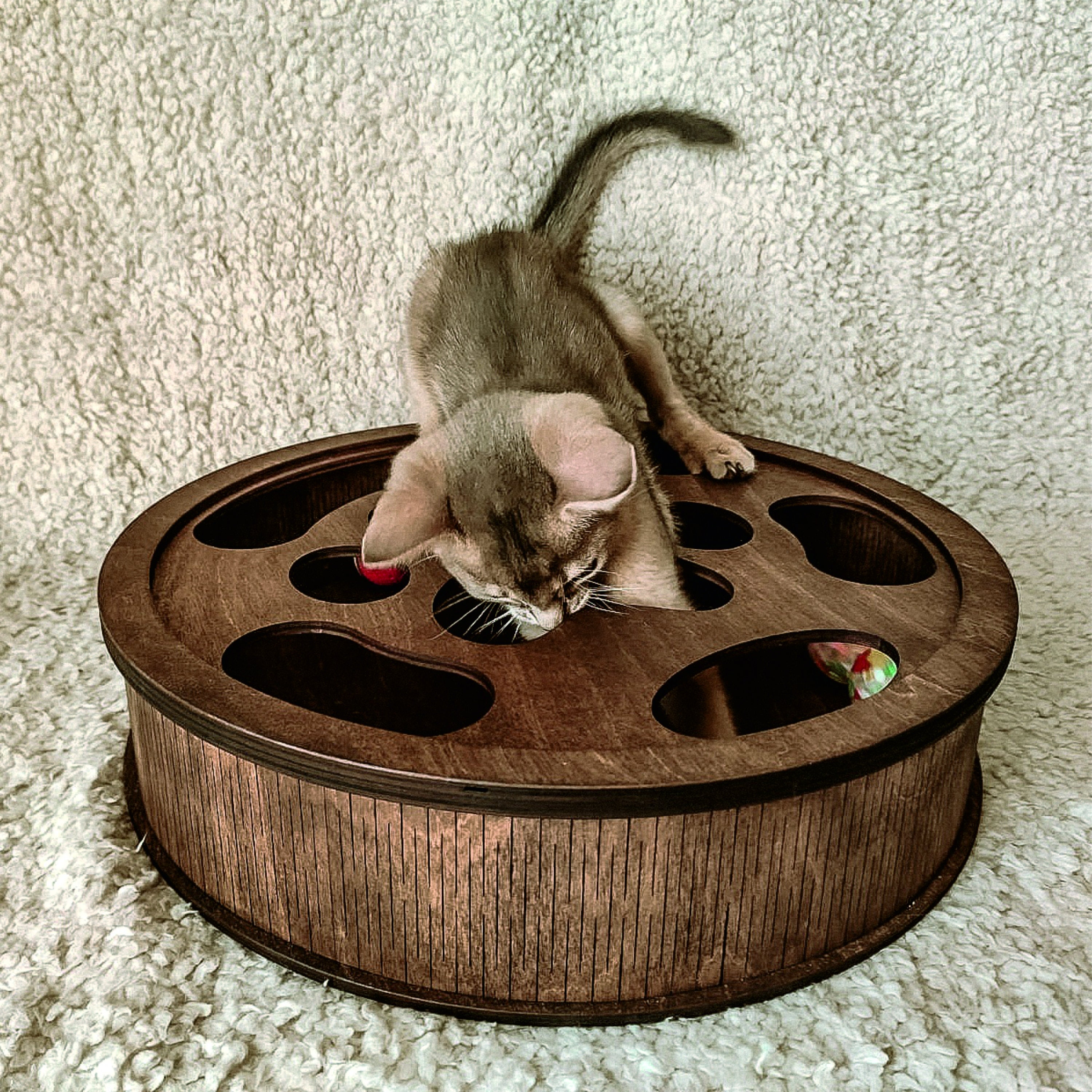 Cat toys cat furniture. Cat toy modern cat furniture. Best Etsy