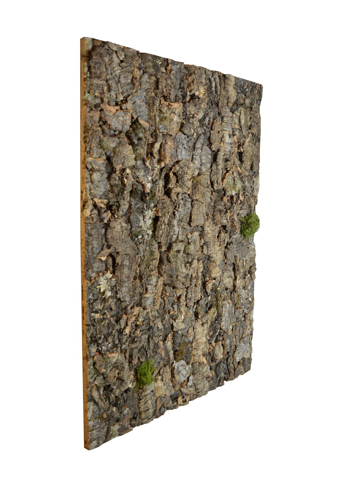 Natural cork panel acoustic cork panel raw cork panel wood Etsy