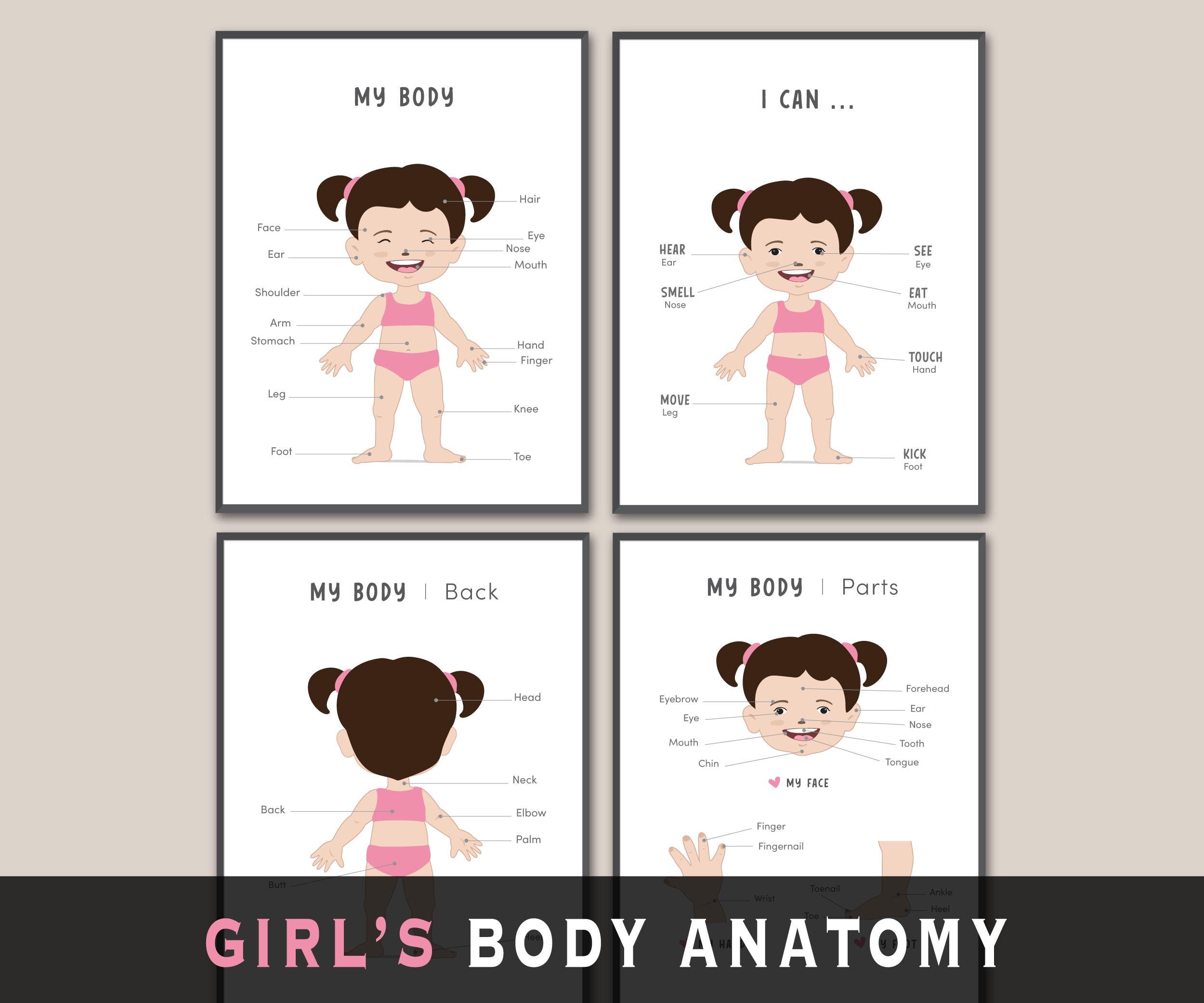 Cute Girl Anatomy Posters, Preschool Girl Body Parts Printable, Girl ...