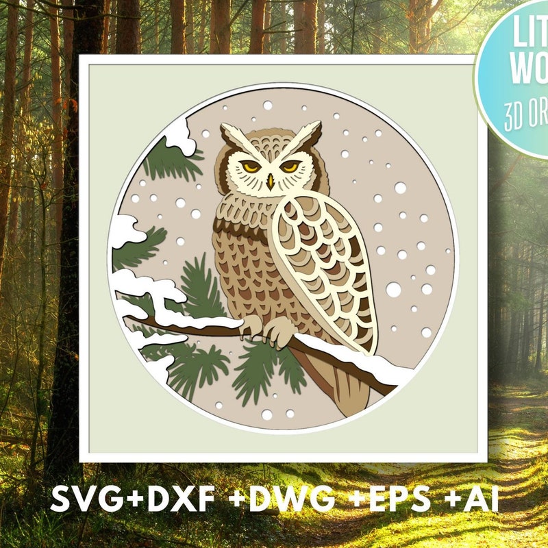 Owl Box - Etsy