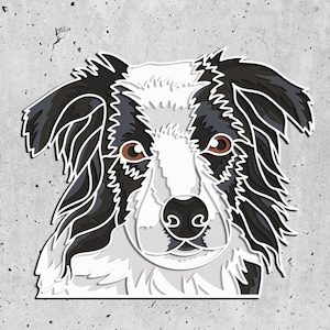Pode incluir: Um c&atilde;o border collie preto e branco com olhos castanhos olhando diretamente para a c&acirc;mera. A pelagem do c&atilde;o &eacute; desenhada de forma estilizada.