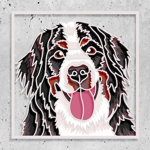 Berner Berg 3D geschichtet SVG, SVG-Datei für Cricut, Bunter Hund Pop Art, 3D Hund Schattenbox, Haustier Gedenkstätte SVG, Haustier 3D Karton,