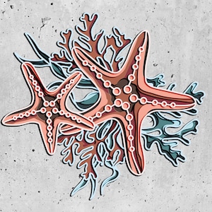 Starfish 3D Layered SVG For Cardstock,Starfish 3D Papercraft,Colorful Starfish 3D Layered SVG,Ocean Mandala Wall Art, Svg For Cricut