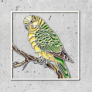 Papagei 3d Mandala svg, Farbdateien für Cricut, Vogel 3d Mandala svg, Mandala svg